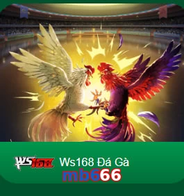 mb666